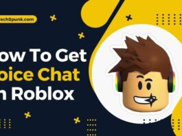 how to get voice chat on roblox