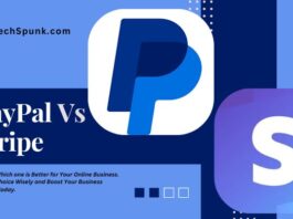 paypal vs stripe