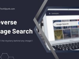 reverse image search