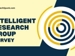 intelligent research group survey legit