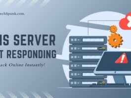 dns server not responding