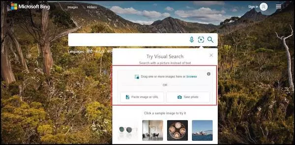 Bing sample images