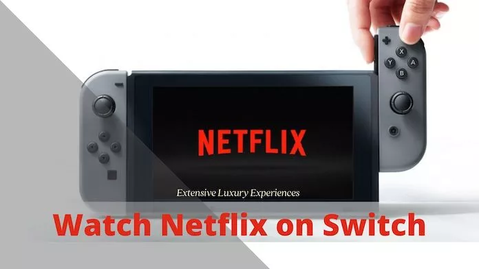 watch netflix on nintendo switch