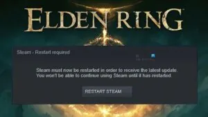 elden ring unable to summon cooperator