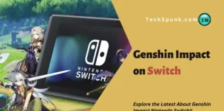 genshin impact on switch