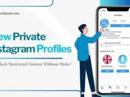 view private instagram profiles