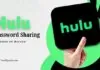 hulu password sharing