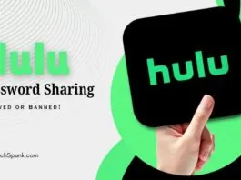 hulu password sharing